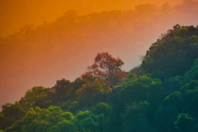 bazi-canlilar-2085e-kadar-asiri-hava-olaylarina-maruz-kalacak-ggQzzReK.jpg