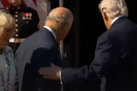 beyaz-sarayda-kraliyet-krizi-trump-protokolu-hice-saydi-GKXENHQQ.jpg