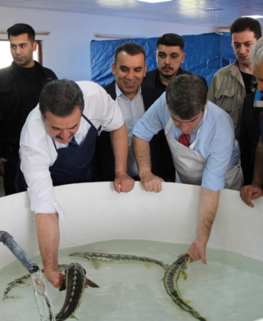 siyah-inci-karadenize-saliniyor-kilosu-90-bin-lira-sayi-30-bini-asti-JquAb6jr.jpg