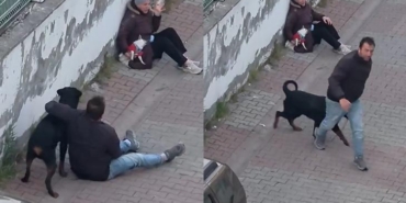 umraniyede-agizliksiz-gezdirilen-rottweiler-kucuk-irk-kopege-saldirdi-XgKmajX1.jpg