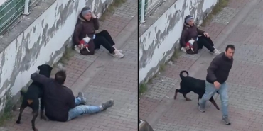 umraniyede-rottweiler-dehseti-agizliksiz-kopek-kucuk-irk-kopege-saldirdi-sahibi-yakalandi-JtwZDBcL.jpg