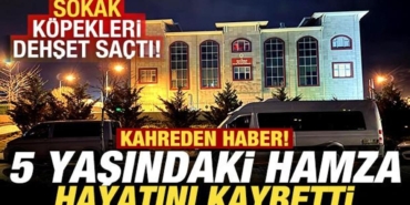 vandan-kahreden-haber-sokak-kopekleri-dehset-sacti-5-yasindaki-hamza-hayatini-kaybetti-IBS9w9Vp.jpg