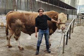 1-ton-190-kilogramlik-kurbanlik-boga-yarim-milyon-liraya-satildi-tKrrME2n.jpg