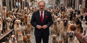 akpli-vekil-kopek-demeyin-it-deyin-buyurdu-bu-milletin-450-bin-lira-maas-odedigi-hmSaRM5K.jpg