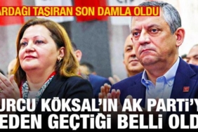 burcu-koksalin-chpden-ak-partiye-gecme-nedeni-belli-oldu-FbwtjKW6.jpg