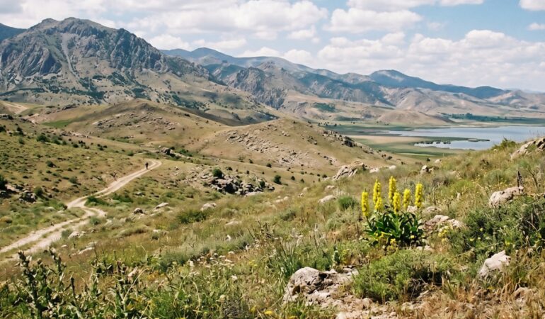 cezasi-3-milyon-lirayi-geciyor-bolgede-cadir-kurmak-bile-yasaklandi-TYX4rUDr.jpg