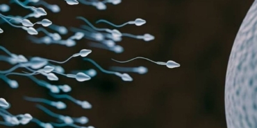 dunyada-ilk-kez-sperm-yarisi-yapilacak-odulu-tam-45-milyon-tl-2wgyJMr2.jpg