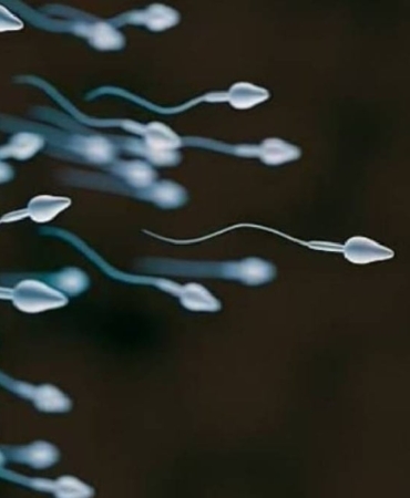 dunyada-ilk-kez-sperm-yarisi-yapilacak-odulu-tam-45-milyon-tl-2wgyJMr2.jpg