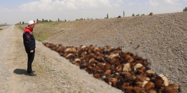 gun-agardi-facia-net-goruldu-boyle-bir-sey-olacagini-bilemedik-1tVal2Yk.jpg
