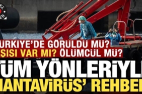 hantavirus-rehberi-turkiyede-goruldu-mu-nasil-bulasiyor-asisi-var-mi-olumcul-mu-9hkqSsQ8.jpg