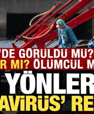 hantavirus-rehberi-turkiyede-goruldu-mu-nasil-bulasiyor-asisi-var-mi-olumcul-mu-9hkqSsQ8.jpg