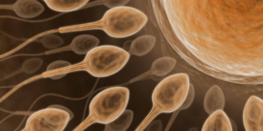 kisirlik-tedavisinde-yeni-teknoloji-yapay-zekayla-sperm-bulunuyor-Zk4r42dH.jpg
