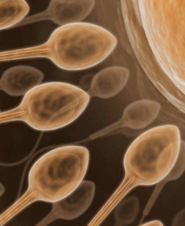 kisirlik-tedavisinde-yeni-teknoloji-yapay-zekayla-sperm-bulunuyor-Zk4r42dH.jpg