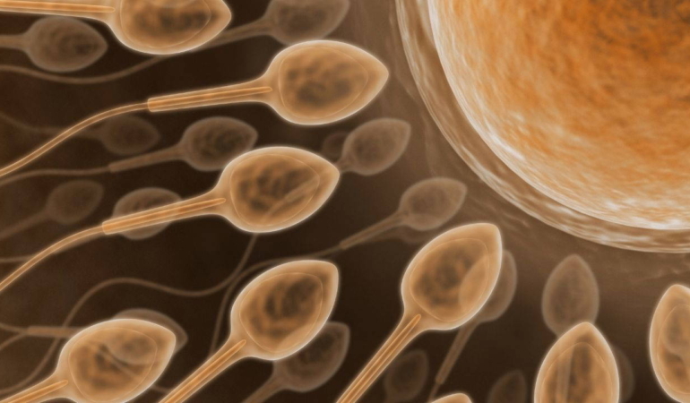 kisirlik-tedavisinde-yeni-teknoloji-yapay-zekayla-sperm-bulunuyor-Zk4r42dH.jpg