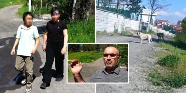 kopeklerden-kacarken-yaralanan-arkadasini-kaderine-terk-etmedi-kucuk-kahraman-yarali-dostunu-sirtinda-tasidi-vSDGwyV9.jpg
