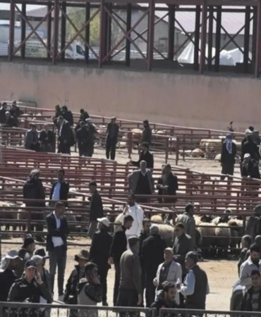 kurban-bayrami-oncesi-hayvan-pazarinda-kan-akti-1-olu-13-yarali-XHI4Sh57.jpg