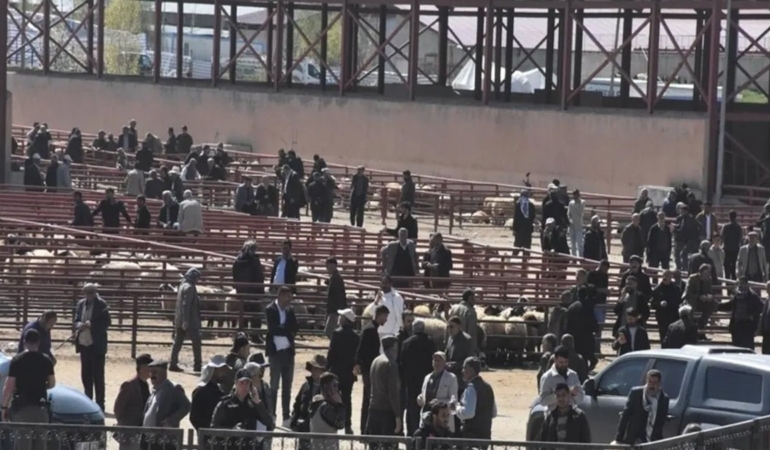 kurban-bayrami-oncesi-hayvan-pazarinda-kan-akti-1-olu-13-yarali-XHI4Sh57.jpg