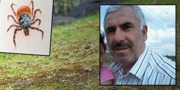 sivasta-kene-alarmi-istanbuldan-memleketine-gitti-madimak-topladiktan-sonra-rahatsizlanip-oldu-L7wtAq3l.jpg