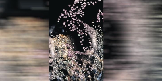 teknolojiyle-doganin-izleri-ia7In7qz.jpg