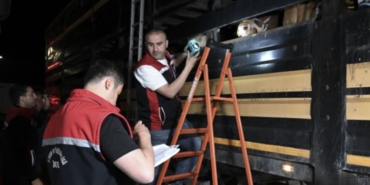 testi-gecemeyen-geri-gonderiliyor-kamyonlar-siralandi-on-binlercesini-istanbula-tasiyor-ftt5EOJL.jpg