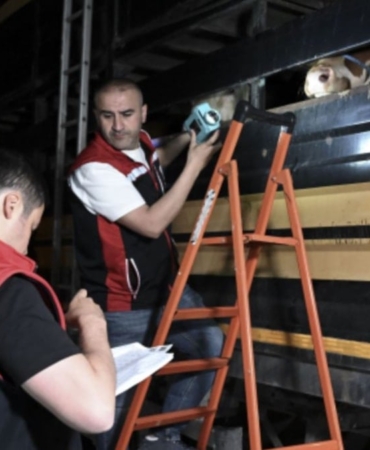testi-gecemeyen-geri-gonderiliyor-kamyonlar-siralandi-on-binlercesini-istanbula-tasiyor-ftt5EOJL.jpg