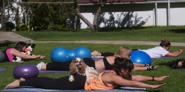 ucretsiz-spor-ve-pilates-donemi-saglik-bakanliginin-uygulamasi-milyonlarca-kisiyi-ilgilendiriyor-DVQ7vTbi.jpg