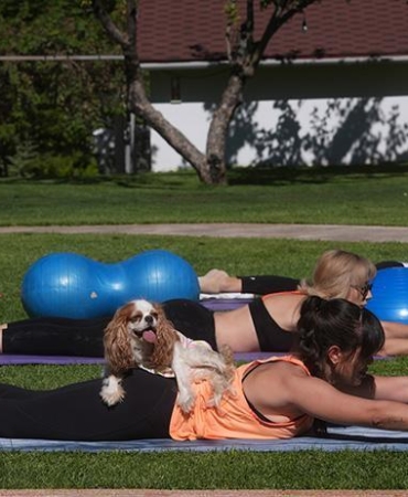 ucretsiz-spor-ve-pilates-donemi-saglik-bakanliginin-uygulamasi-milyonlarca-kisiyi-ilgilendiriyor-DVQ7vTbi.jpg