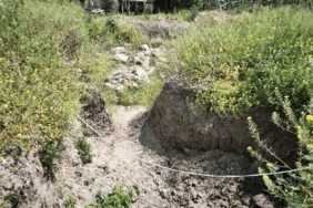 villa-yapilacakti-altindan-tarih-fiskirdi-mersinde-8-roma-mezari-bulundu-DumeYdLU.jpg