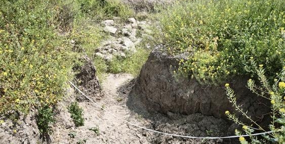 villa-yapilacakti-altindan-tarih-fiskirdi-mersinde-8-roma-mezari-bulundu-DumeYdLU.jpg